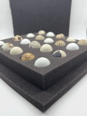 BD Foam Shipper 20 Hole (Coturnix Quail)