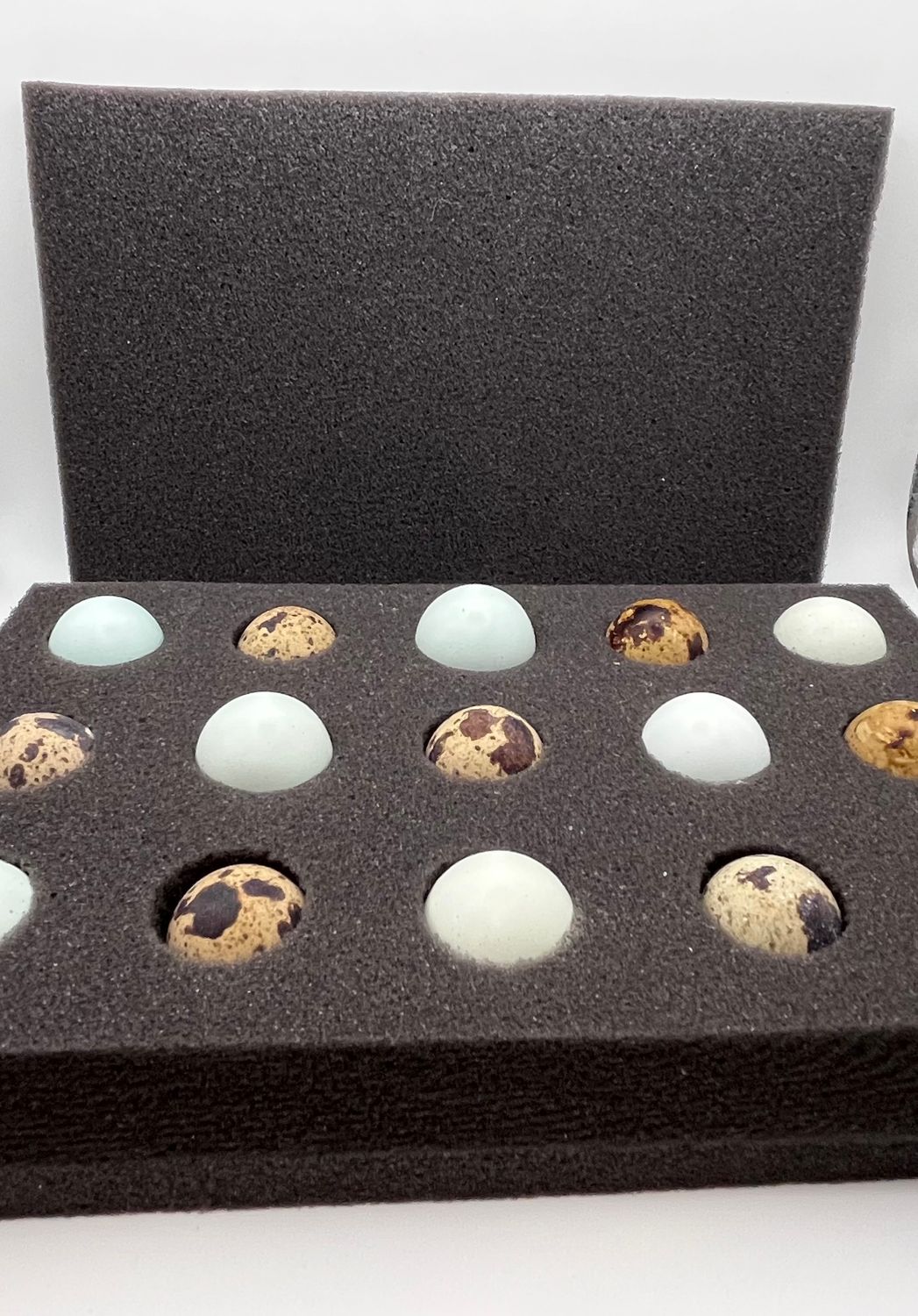 15-Hole Quail Foam Shipper Set