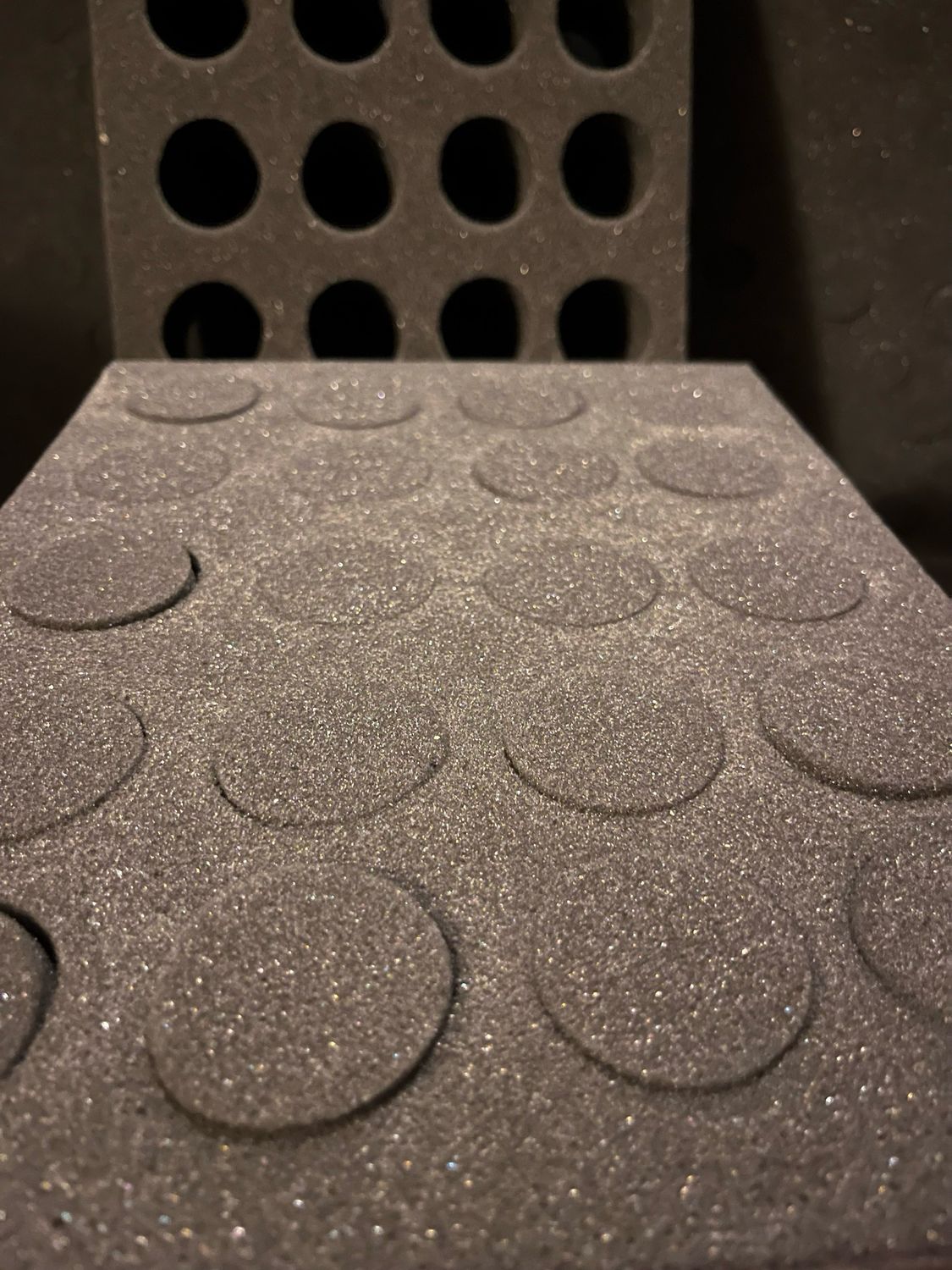 20-Hole Chicken Foam Shipper Set 8.5x11
