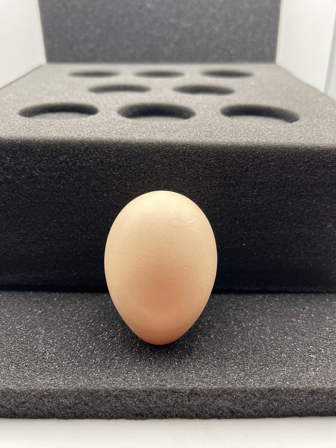 8-Hole Chicken Foam Shipper Set