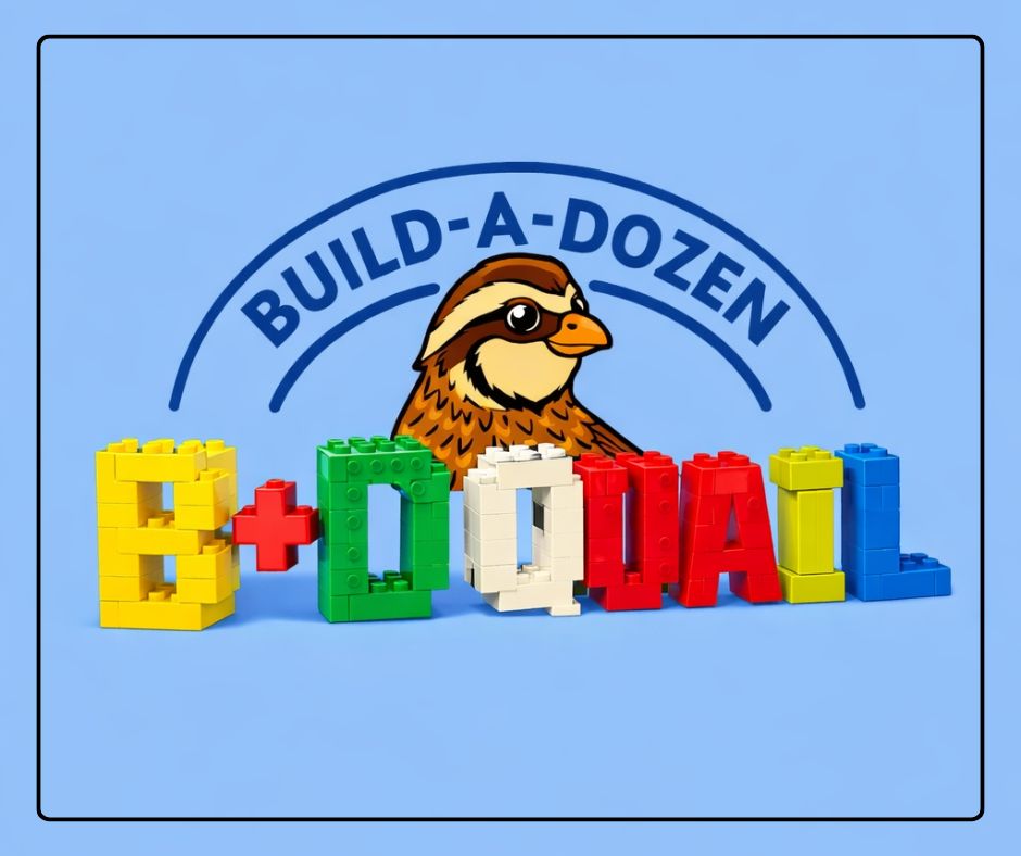 Build-A-Dozen | Coturnix Quail Eggs