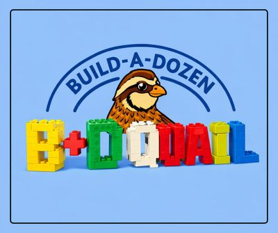 Build-A-Dozen | Coturnix Quail Eggs