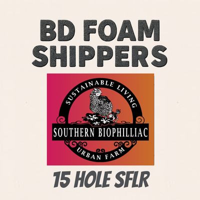 15-Hole Small FR Box