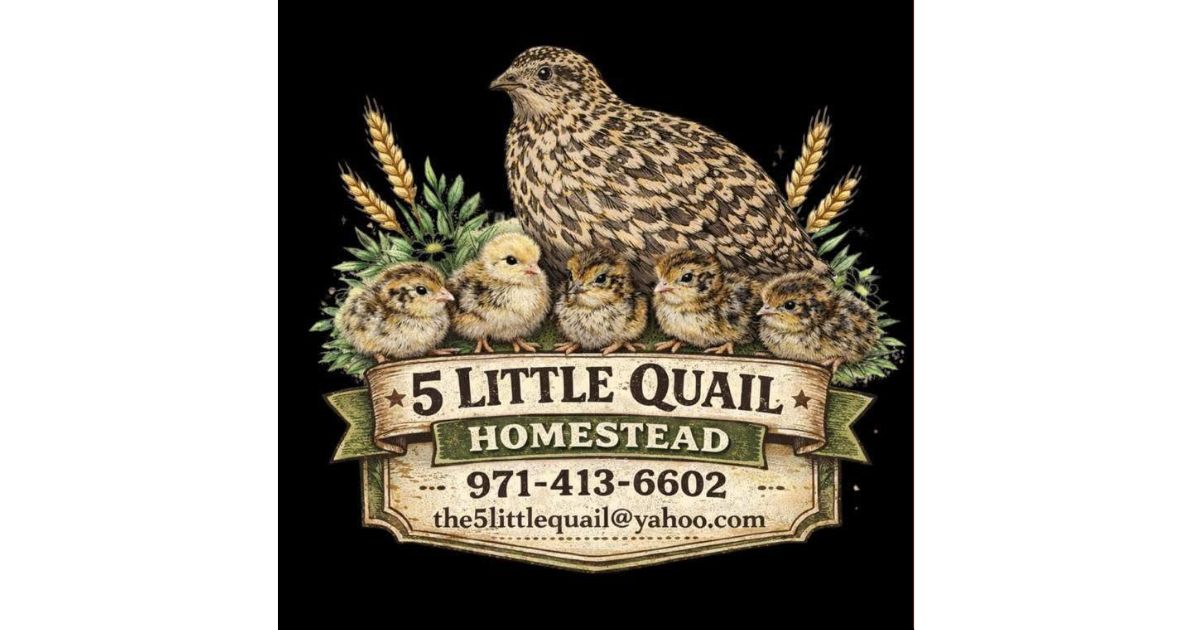 20-Hole Quail 7x7