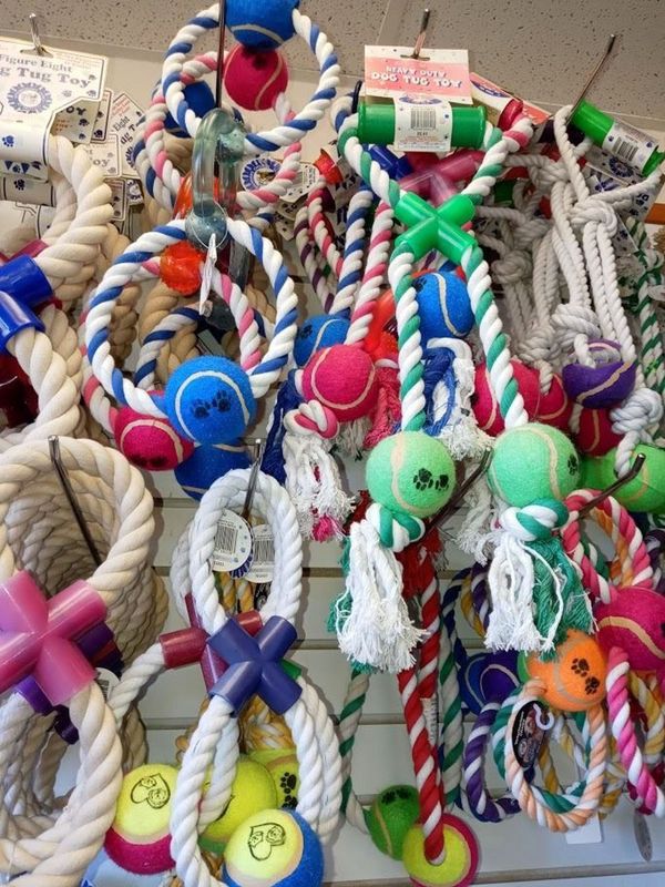 🐾 Ultimate Dog Toy Bundle – 10-Pack for Just $24.99!