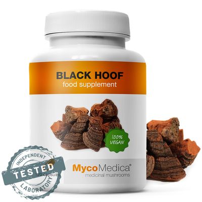 OHNOVEC Phellinus linteus MycoMedica