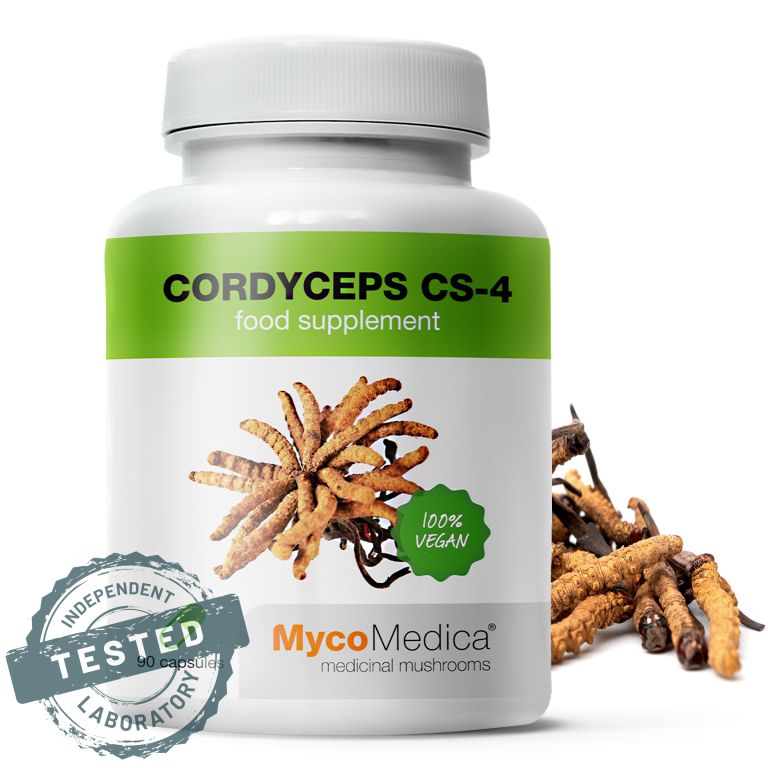 CORDYCEPS MycoMedica