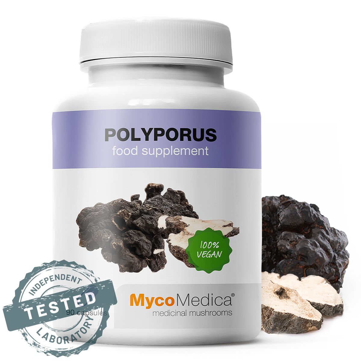 Polyporus
