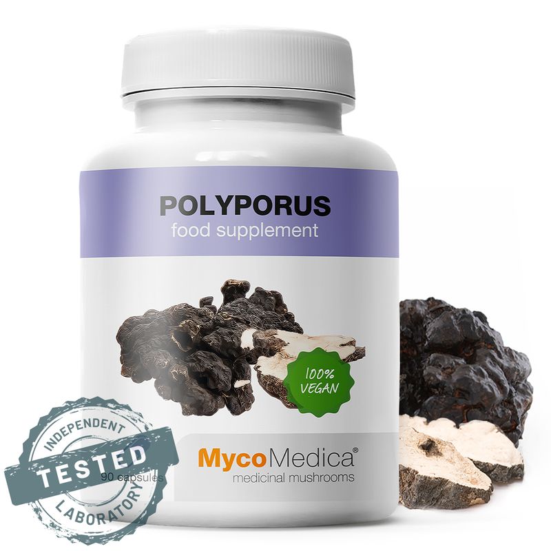 Polyporus