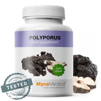 POLYPORUS MycoMedica