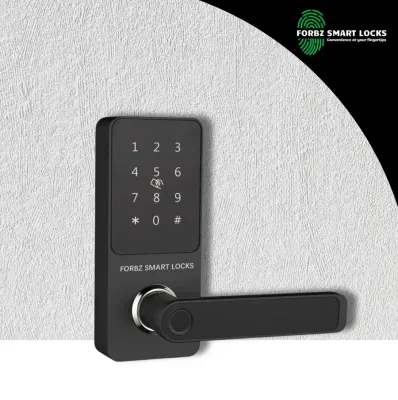 Fingerprint Smart Lock – A260
