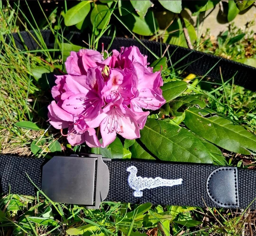 Schwarzer Gürtel bestickt mit Papagoy, Gildefest - StickBina