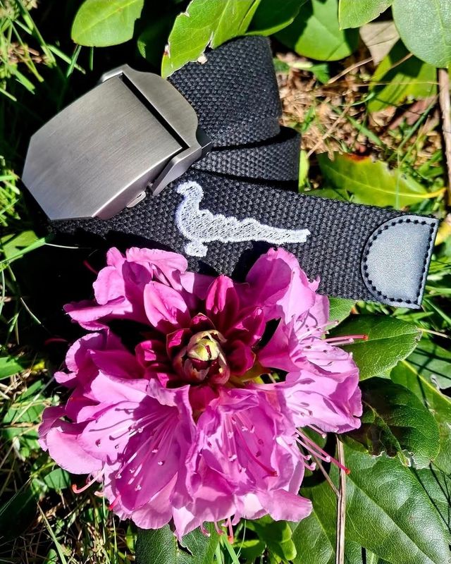 Schwarzer Gürtel bestickt mit Papagoy, Gildefest - StickBina