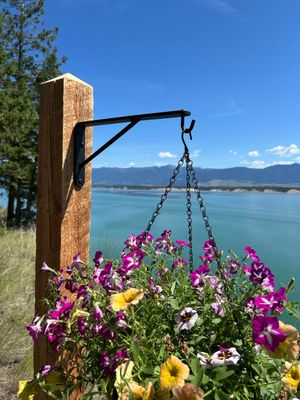 Plant Hooks