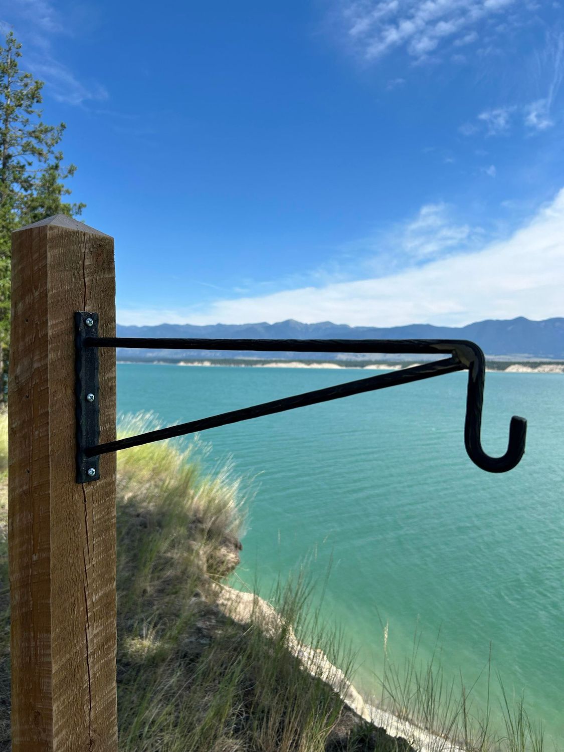 Heavy Duty Decorative Hanging Plant Hook