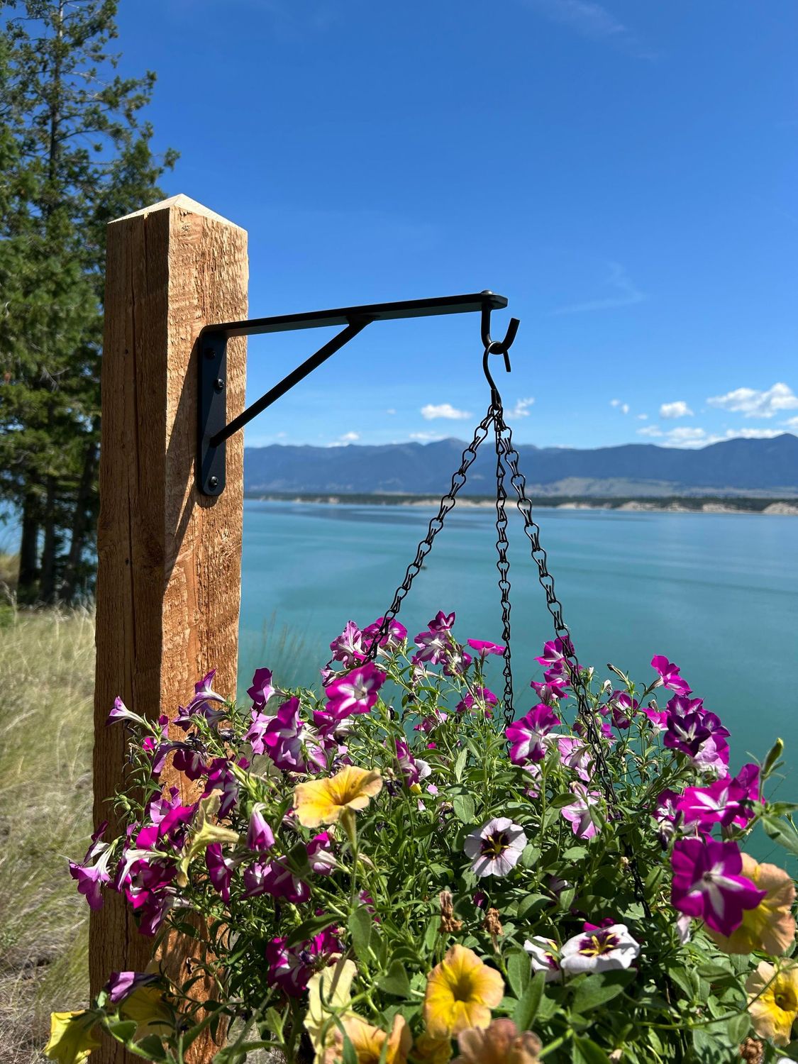 Heavy Duty Hanging Plant Hook