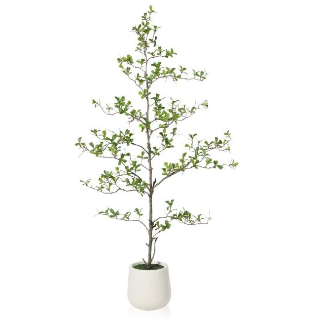 SOGUYI Faux Olive Tree, 5ft Tall Olive Trees
