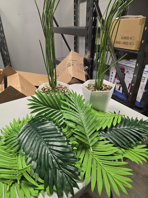 14 in. Assorted Ferns with Planter Artificial Plant (Set of 2)
