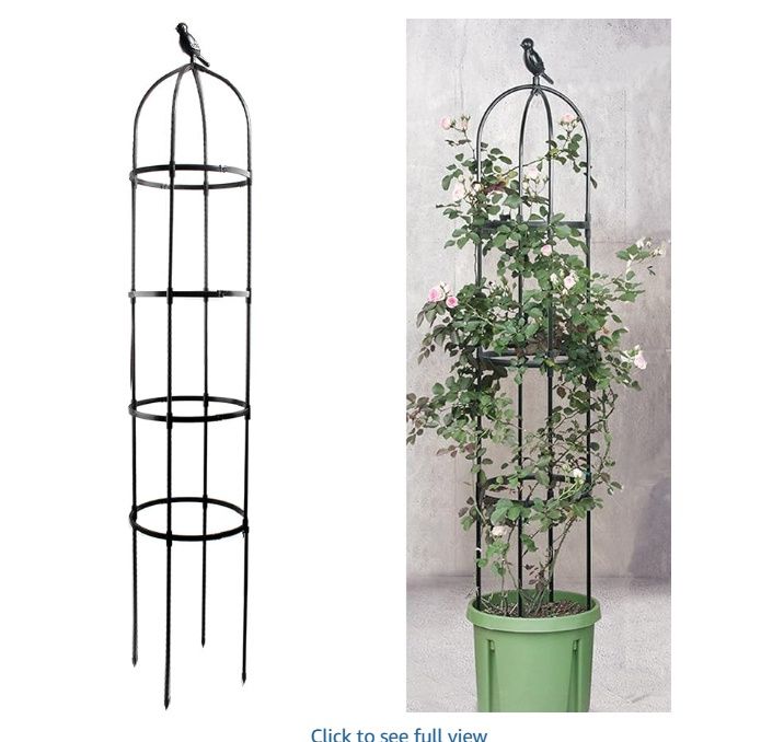 6ft Garden Obelisk Trellis for Climbing Plants