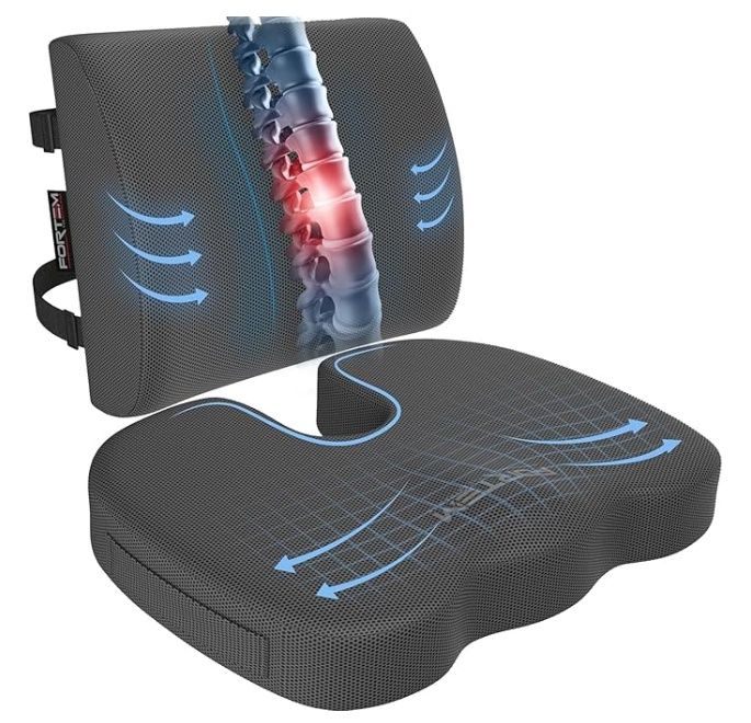 FORTEM Seat Cushion and Lumbar Support