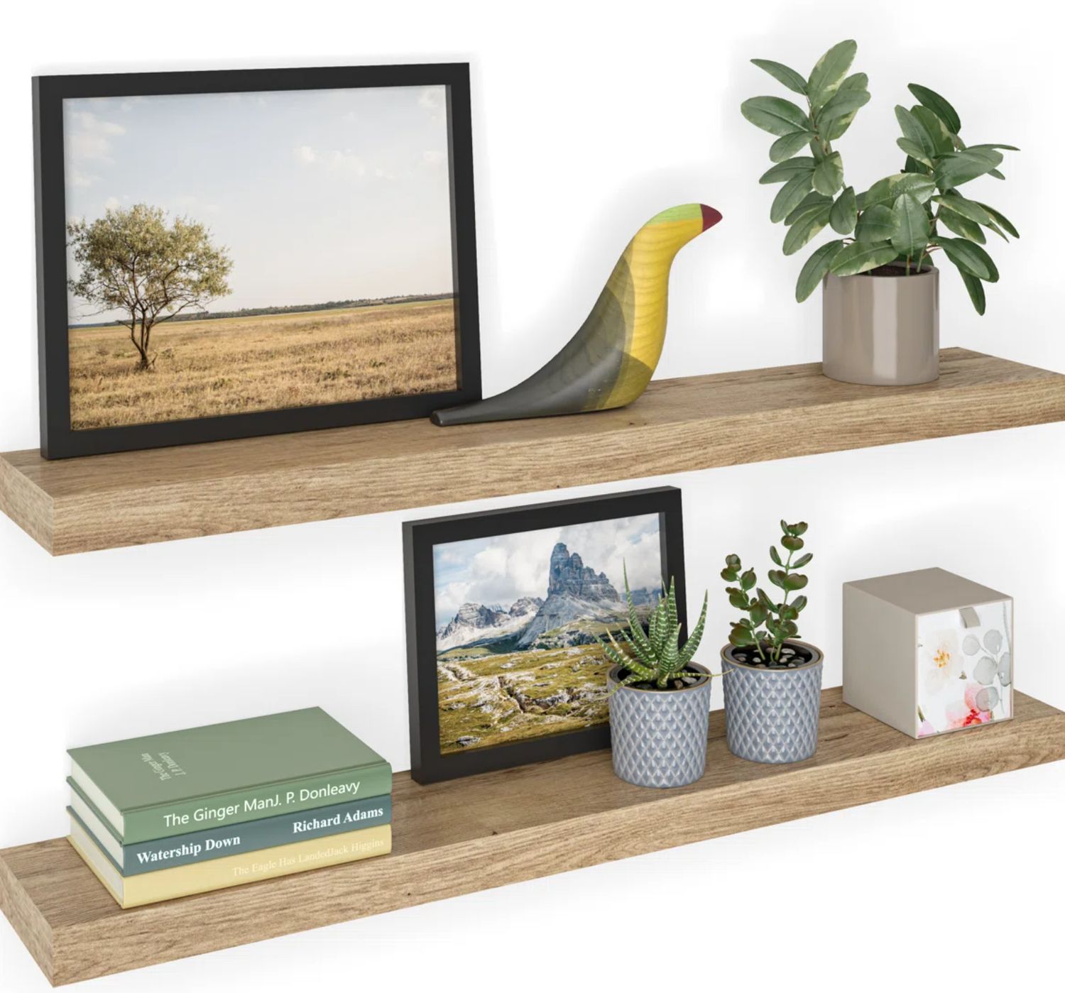 Ballucci Miami 24&quot; W x 8&quot; D Floating Shelves