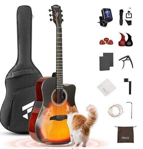 Fesley X Acoustic Guitar Kit, 41 Inch Full Size 6 String