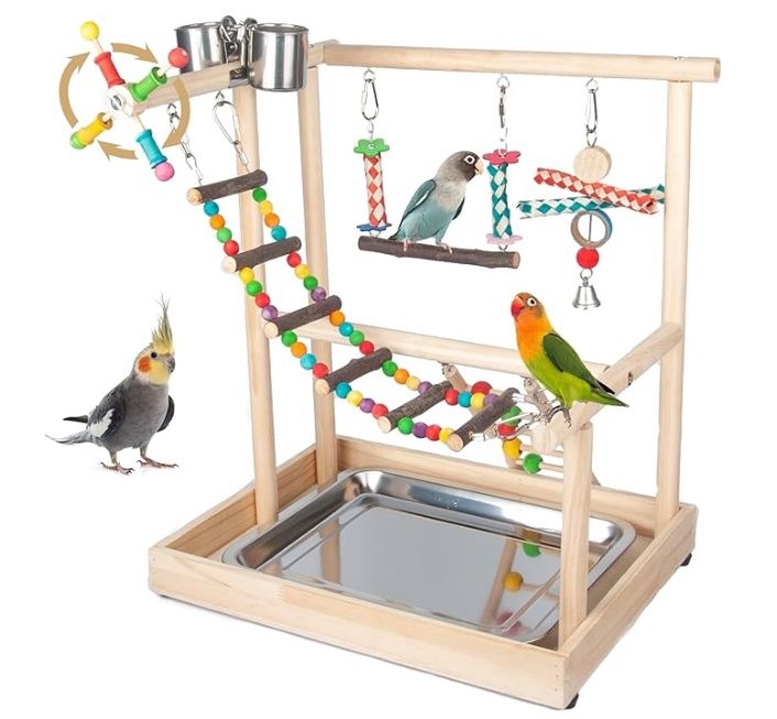 Wondwo Small Bird Playground Parakeet, Parrot Table Top Stand