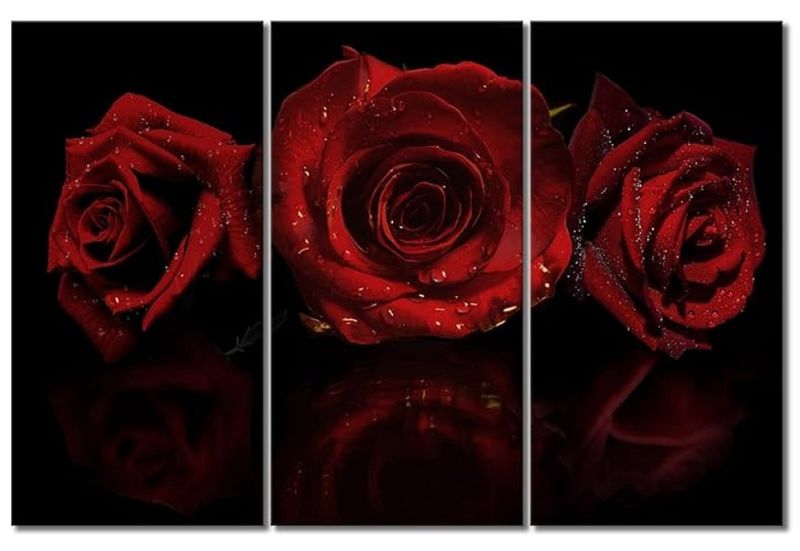 Red Rose Canvas Wall Art Blossoming w/ Black Background 3 Pcs