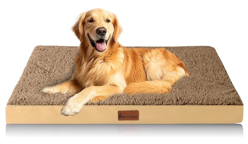 JOLLYVOGUE Dog Bed Large, Colour: Brown, Size: L
