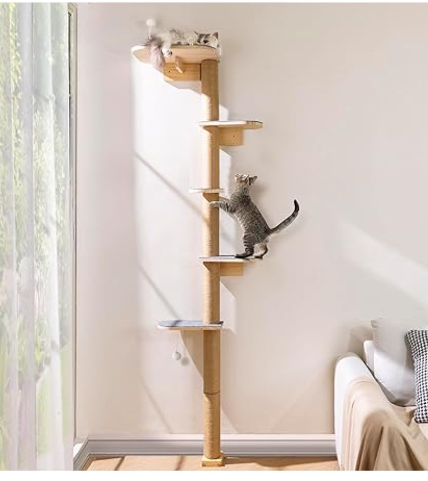 PELUOMOZ Cat Wall Shelves