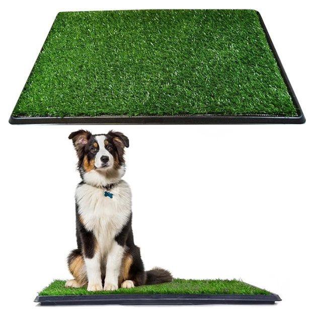 Dog Pee Turf Relief System, 20 x 30 inches