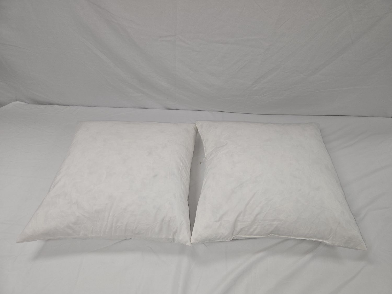 15&quot; x 15&quot; Throw Pillows Feather