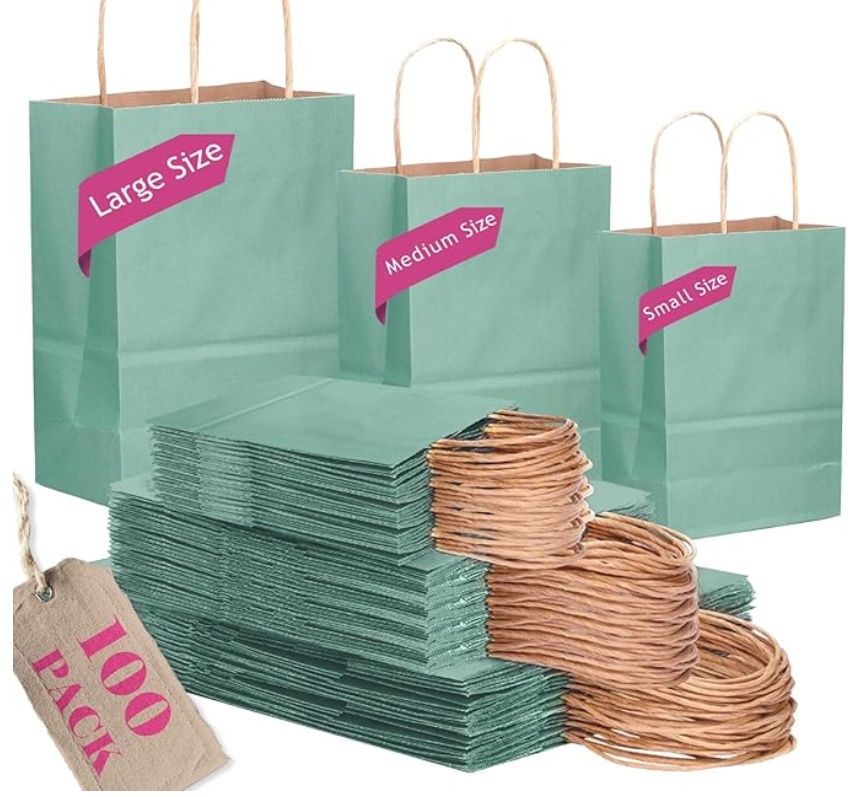 Bulk Kraft Light Blue Paper Bags 100PCS Assorted Sizes(33 Large, 33 Medium, 34 Small