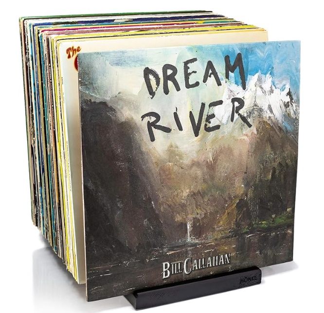 Premium Vinyl Record Holder - a Mid-Century Style Record Holder for Albums, 50-60 LP