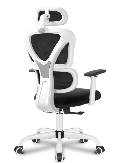 FelixKing Office Chair Ergonomic Desk Chair with Lumbar Support，High Back Mesh