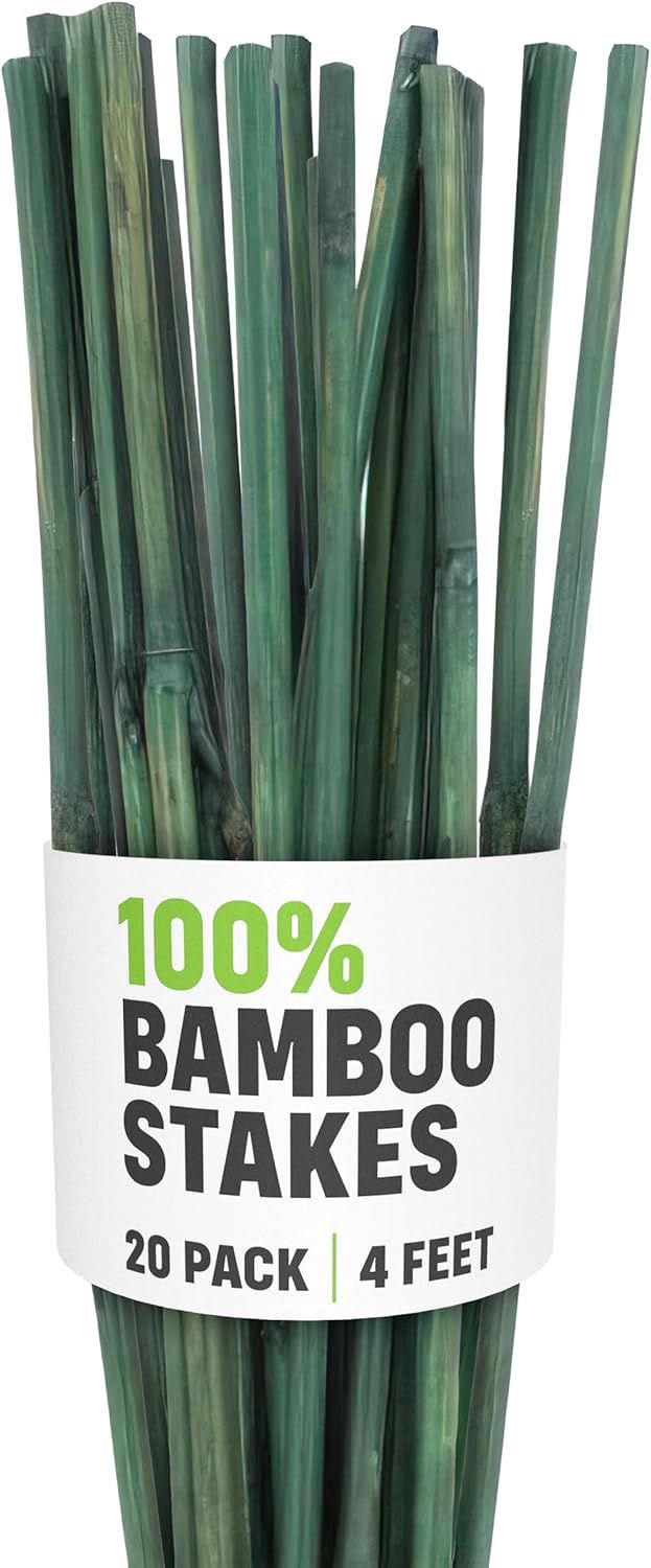 4-Foot Green Bamboo Stakes, Plant Support Stakes Indoor/Outdoor