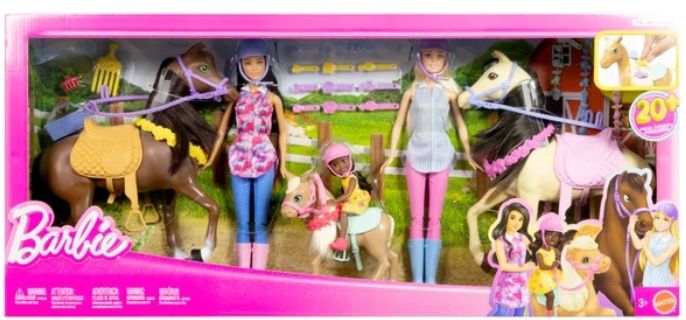 Barbie &amp; Horses, Riding Playset