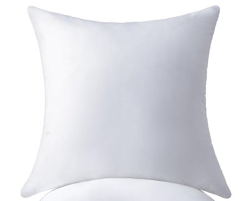 22 x 22 Pillow Insert Set of 2 - Premium Soft and Fluffy 22 Inch Large Sofa Decorative White