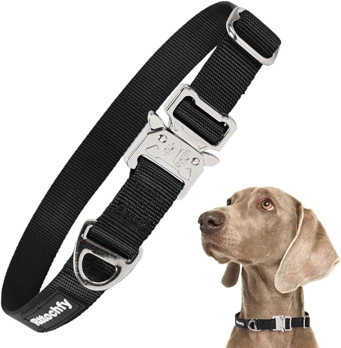 Rttochfy Premium Tactical Dog Collar, Colour: Black, Size: Small 10" - 12"