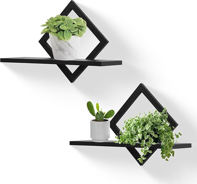 Floating Shelves for Wall,Decorative Wall Shelf,Hanging Shelf for Plants