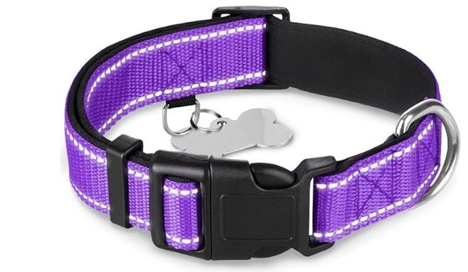 TECEUM Reflective Pet Collar – Purple – M – Extra Soft Padding – Basic Nylon Dog Collar