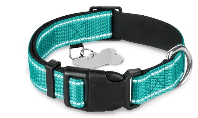 TECEUM Reflective Pet Collar – Teal – XL – Extra Soft Padding – Basic Nylon Dog Collar