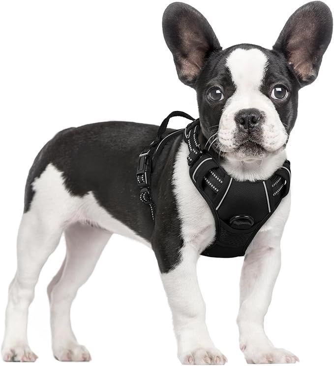 rabbitgoo Dog Harness, No-Pull Pet Harness with 2 Leash Clips, Adjustable Soft Small