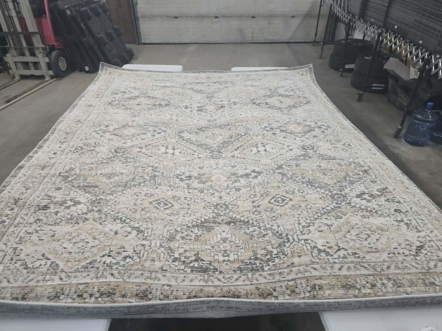 Segma 8' x 10' Area Rug Traditional Segma 8' x 10' Area Rug Traditional