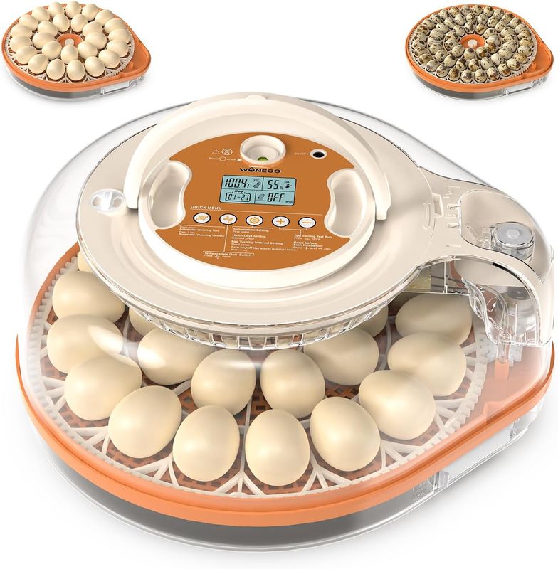 Incubators for Hatching Chicks 26 Eggs Programmable Incubators for Hatching Chicks 26 Eggs Programmable