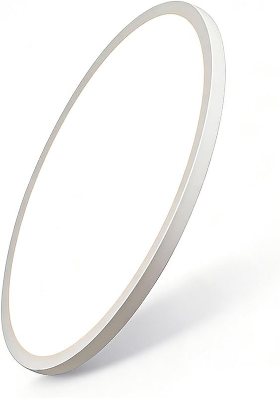 24 Inch Large Led Ceiling Light Flush Mount