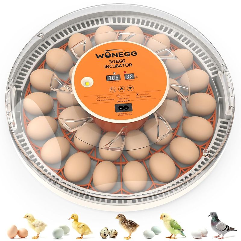 WONEGG 30 Egg Incubator with Auto Turning WONEGG 30 Egg Incubator with Auto Turning