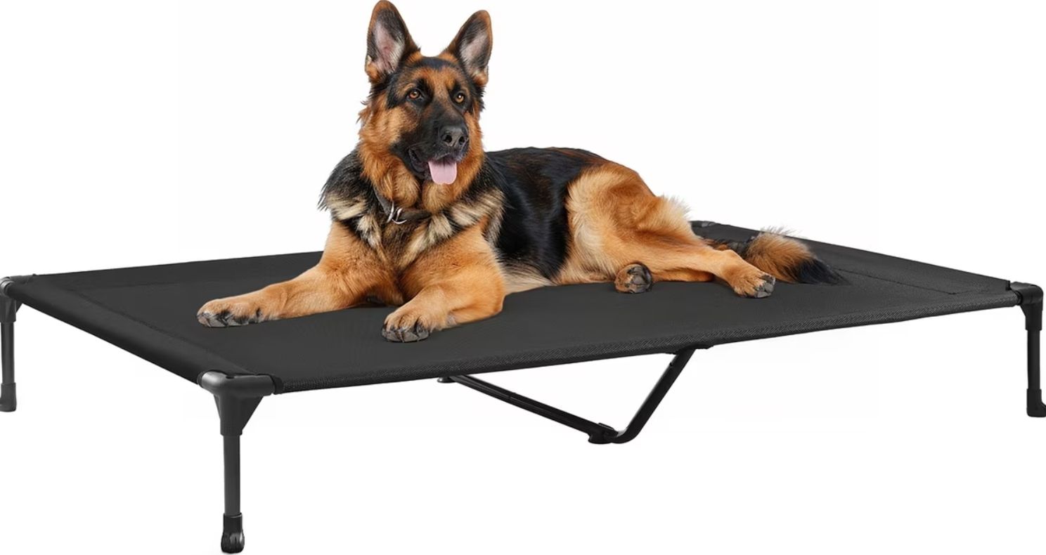 Veehoo Cooling Elevated Dog Bed, Sky black, X-Large
