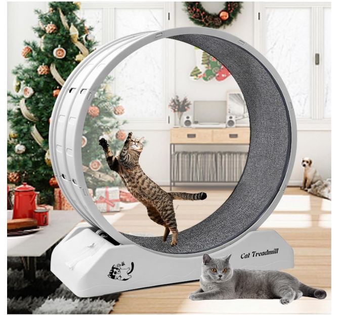 homegroove 31.5 Inch Cat Wheels for Indoor Cats, Plastic Cat Exercise Treadmill Wheel homegroove 31.5 Inch Cat Wheels for Indoor Cats, Plastic Cat Exercise Treadmill Wheel