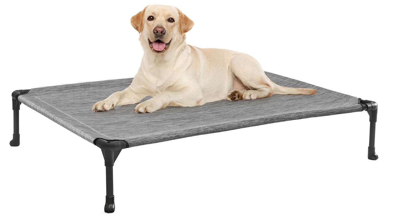 Veehoo Large Elevated Outdoor Dog Bed, Cooling Camping Raised Dog Cot Veehoo Large Elevated Outdoor Dog Bed, Cooling Camping Raised Dog Cot